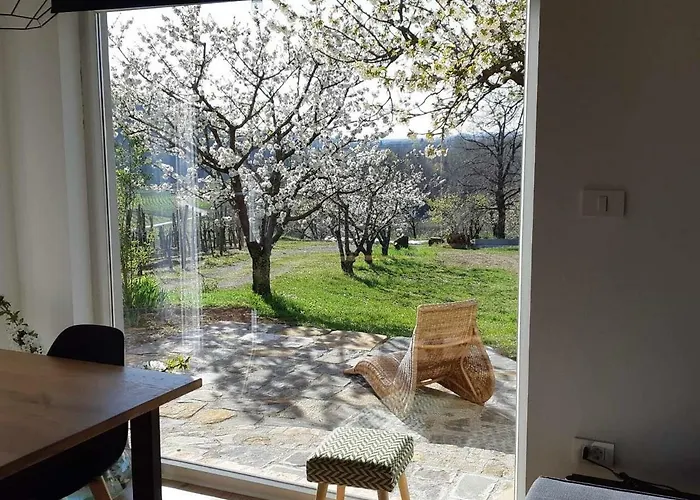Apartma Vita