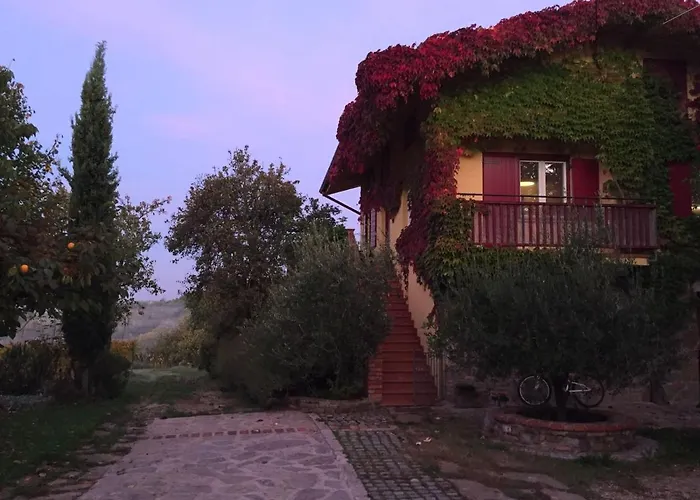 Apartma Vita