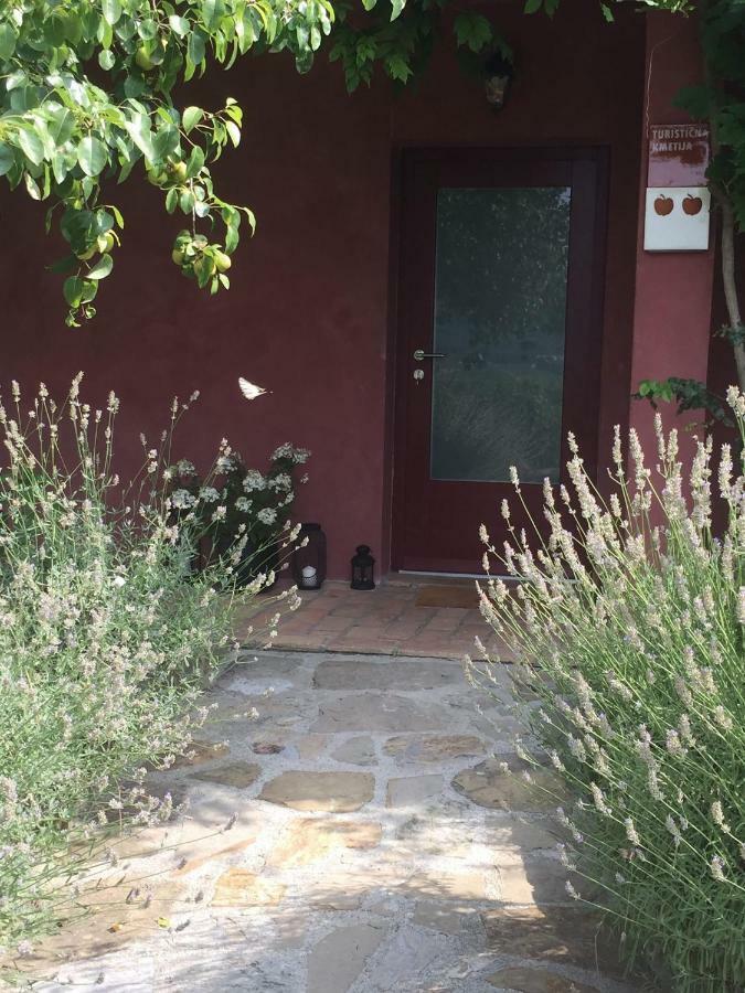 Apartment Apartma Dobrovo